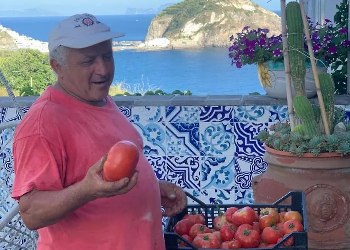 Hotel Torre Sant'angelo 3*