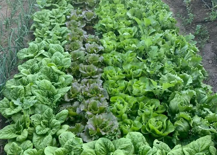 Hotel Torre Sant'angelo