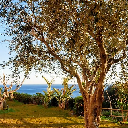 トーレ サンタンジェロ Forio di Ischia