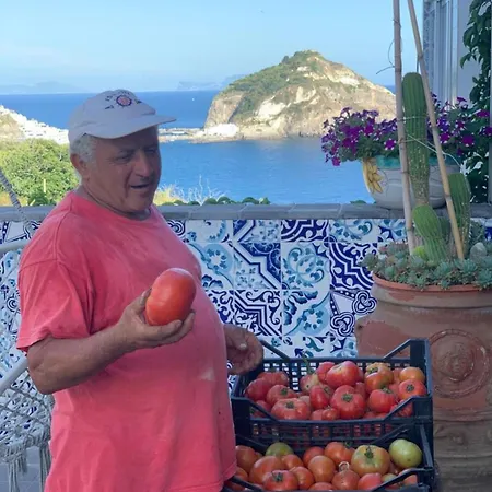 Ξενοδοχείο Torre Sant'angelo 3*